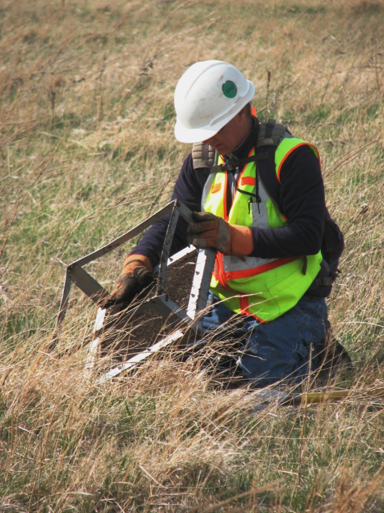 Cleaning a screen during Phase I shovel testing in Oklahoma.
